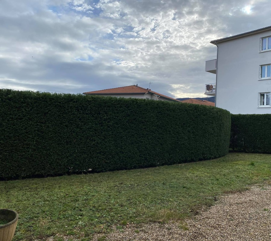 TK Paysage TK Paysage